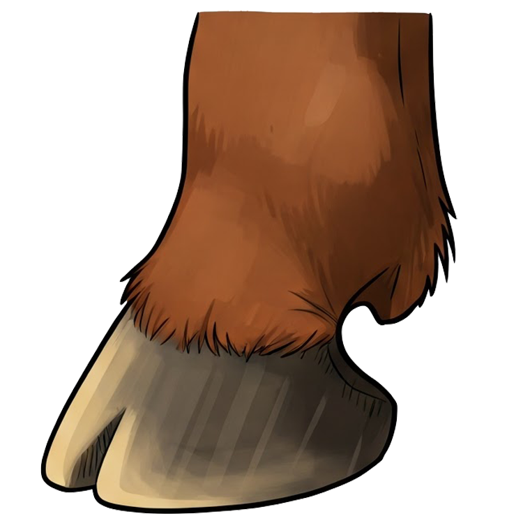 hoof แปลว่า กีบ (เท้าสัตว์)