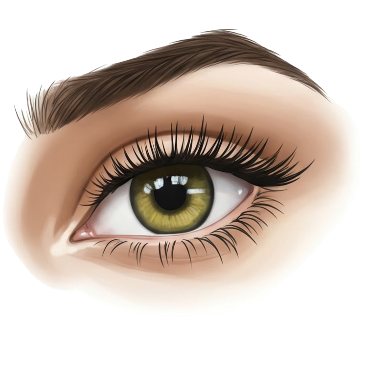 lash แปลว่า ขนตา