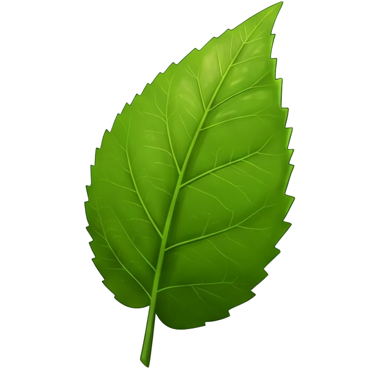 leaf แปลว่า ใบไม้