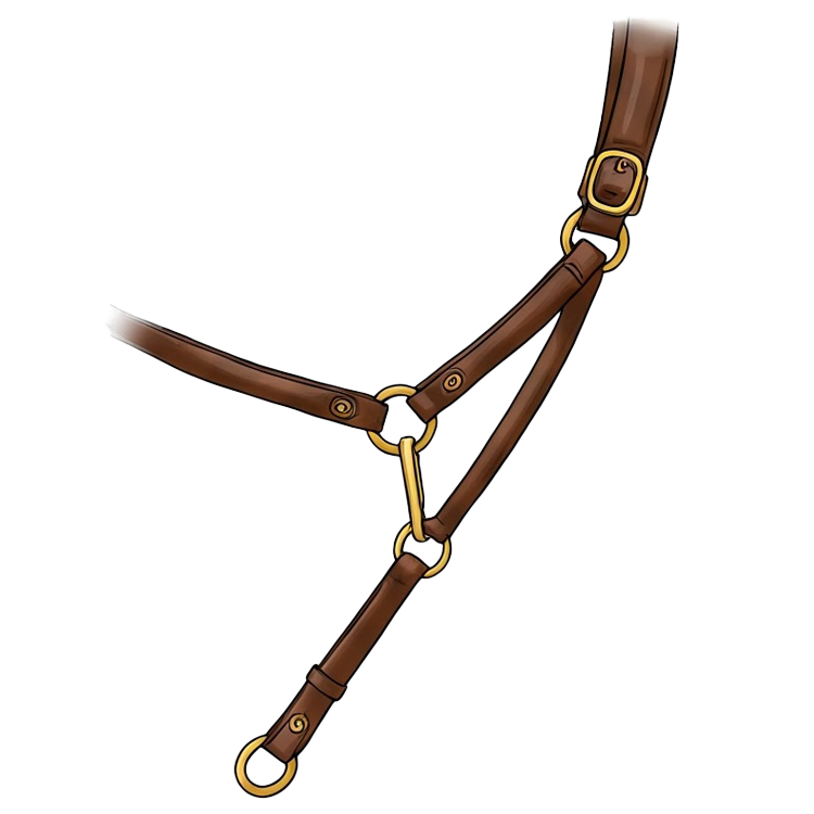 leash แปลว่า บังเหียน