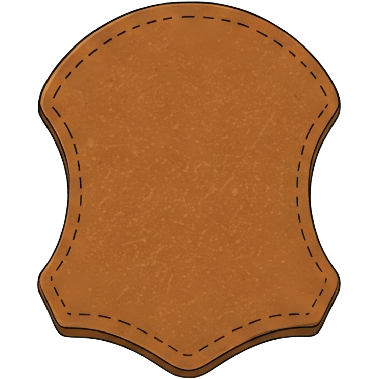 leather แปลว่า หนัง