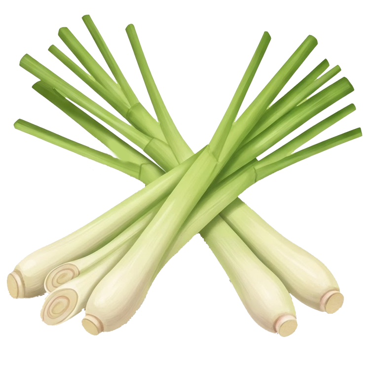 lemongrass แปลว่า ตะไคร้