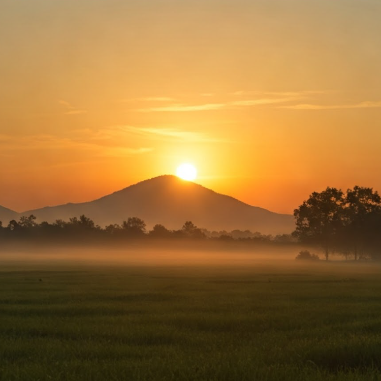 lighten แปลว่า สว่างขึ้น