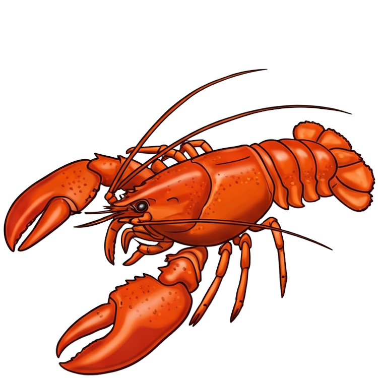 lobster แปลว่า กุ้งทะเลขนาดใหญ่