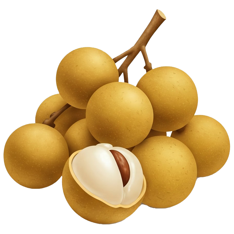longan แปลว่า ลำไย