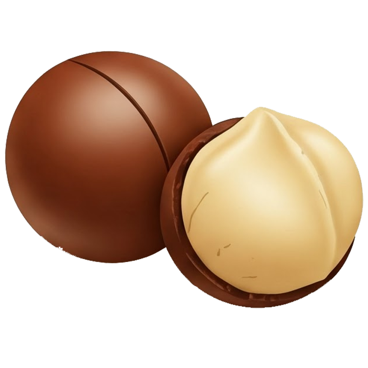 macadamia แปลว่า ถั่วออสเตรเลียเปลือกแข็ง