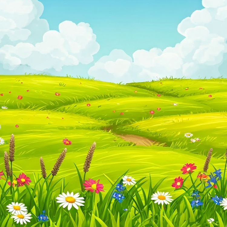 meadow แปลว่า ทุ่งหญ้า