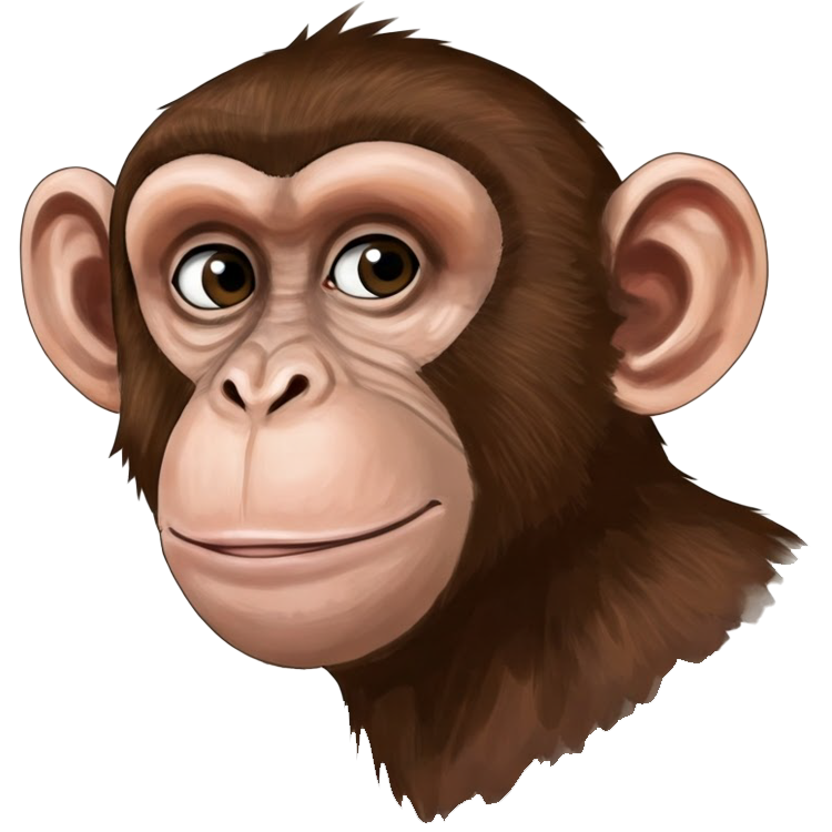 monkey แปลว่า ลิง