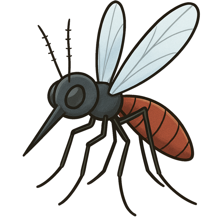 mosquito แปลว่า ยุง