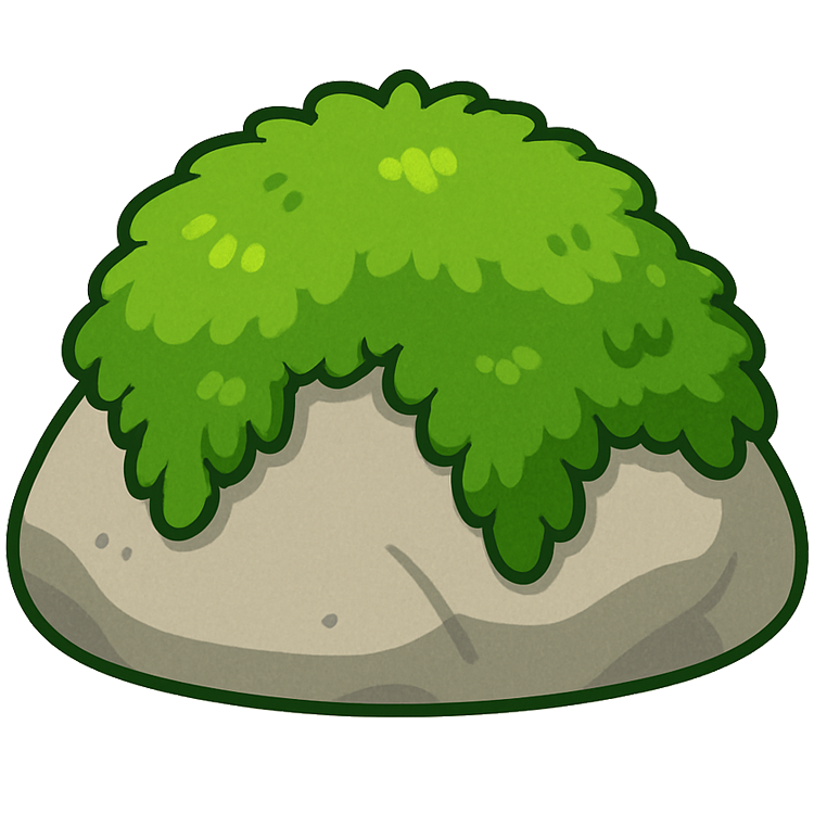 moss แปลว่า พืชตะไคร่น้ำ