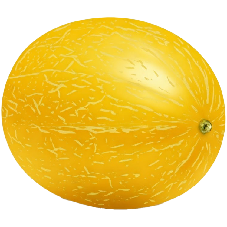 muskmelon แปลว่า แตงไทย