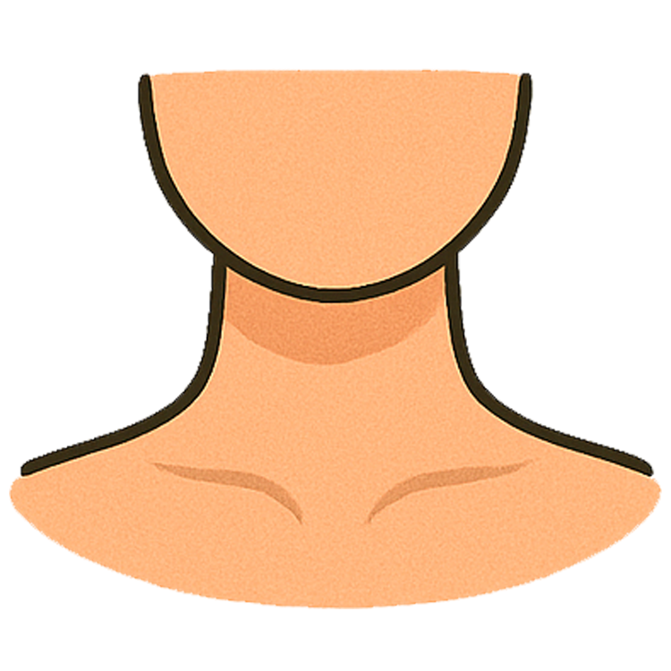 neck แปลว่า คอ