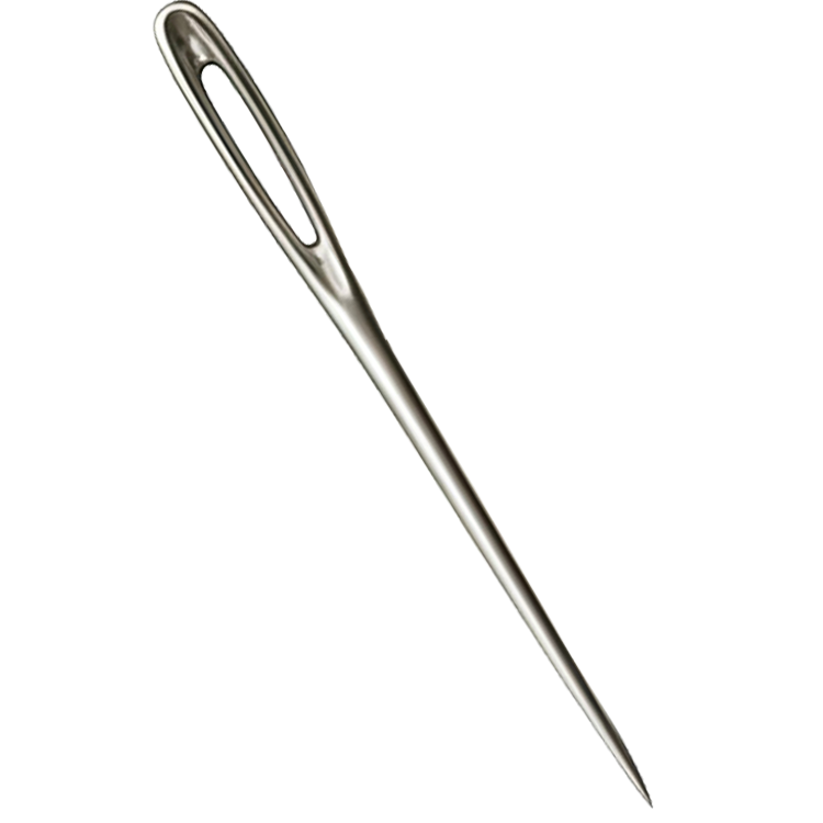 needle แปลว่า เข็ม