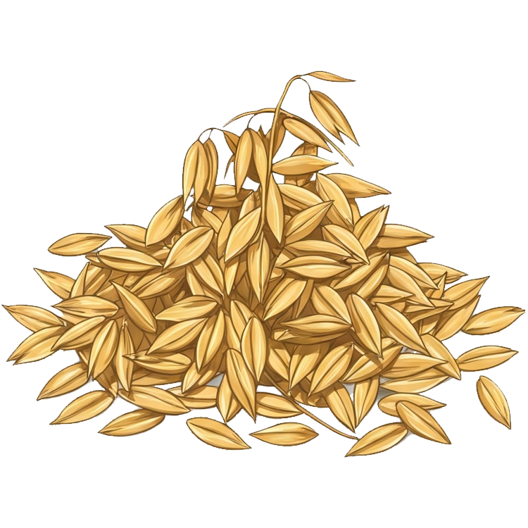 oat แปลว่า ข้าวโอ๊ต