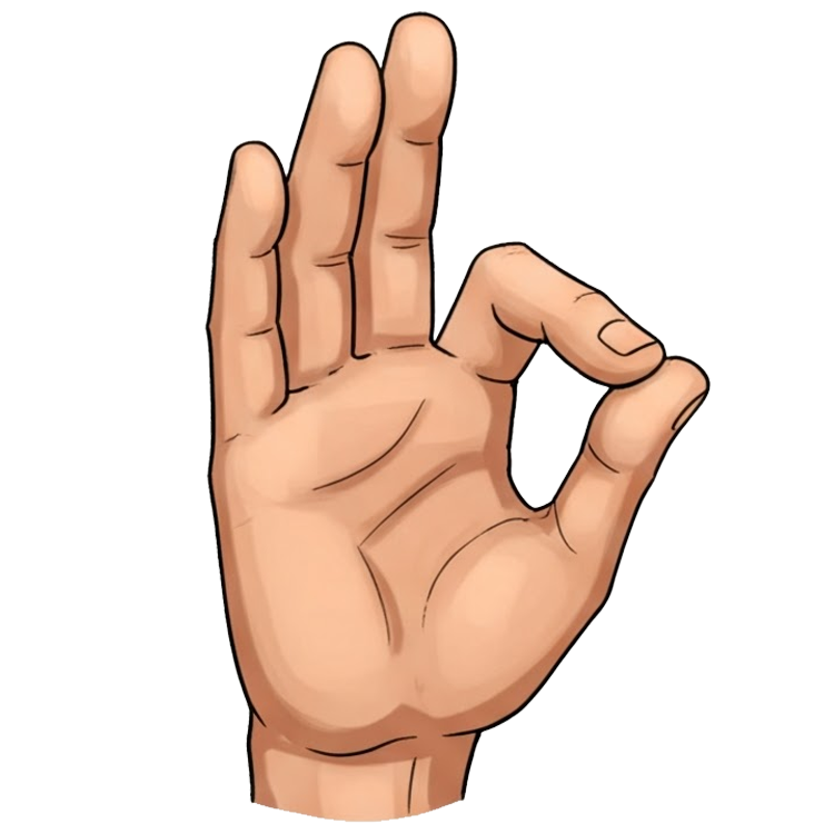 obey แปลว่า เชื่อฟัง