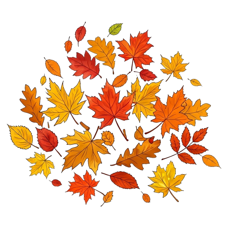 October แปลว่า เดือนตุลาคม