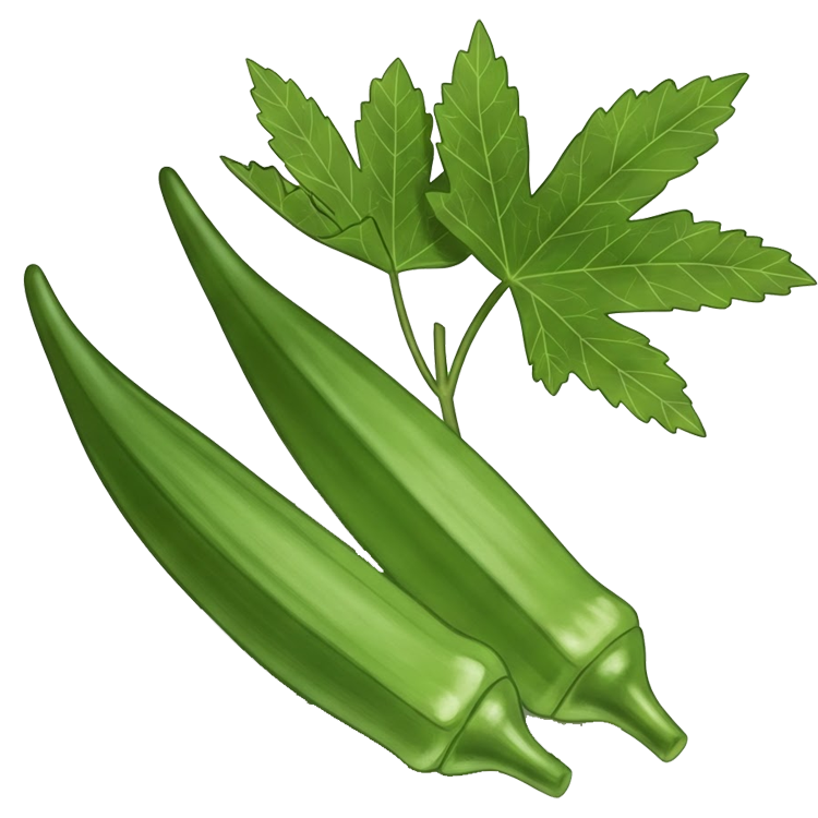 okra แปลว่า กระเจี๊ยบ