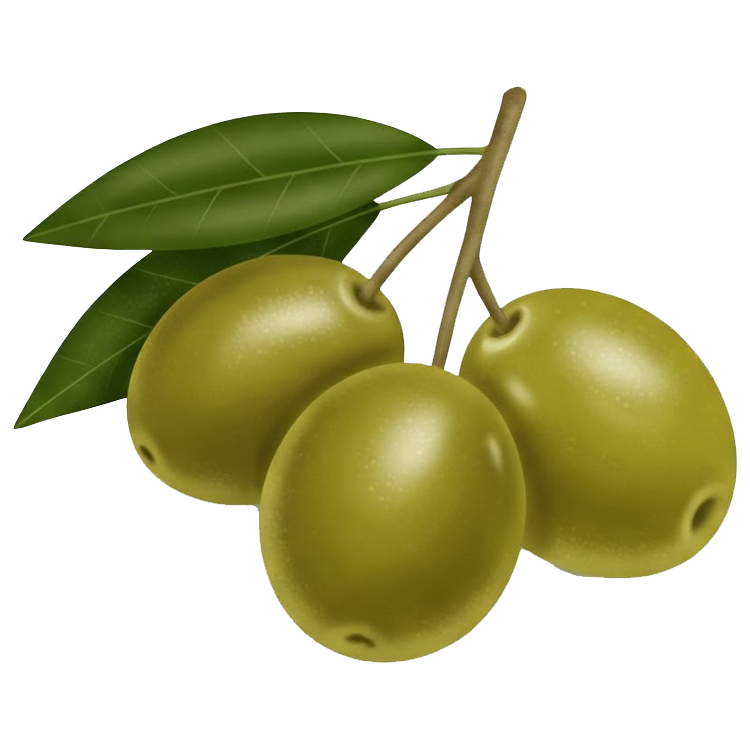 olive แปลว่า ผลโอลิฟ