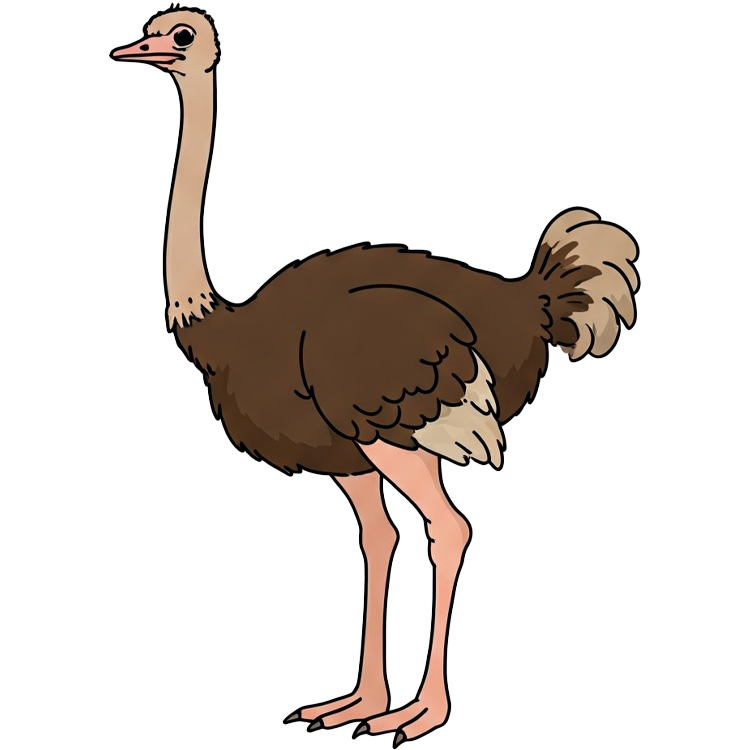 ostrich แปลว่า นกกระจอกเทศ