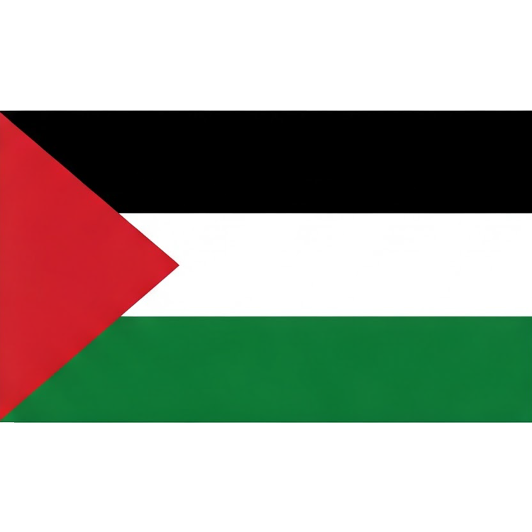 Palestine แปลว่า ปาเลสไตน์