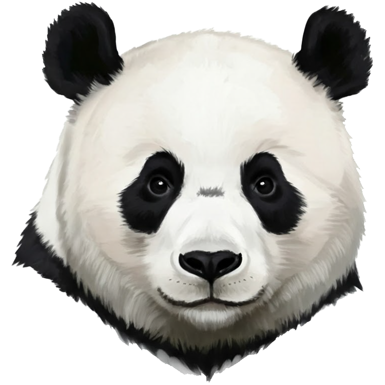 panda แปลว่า หมีแพนด้า