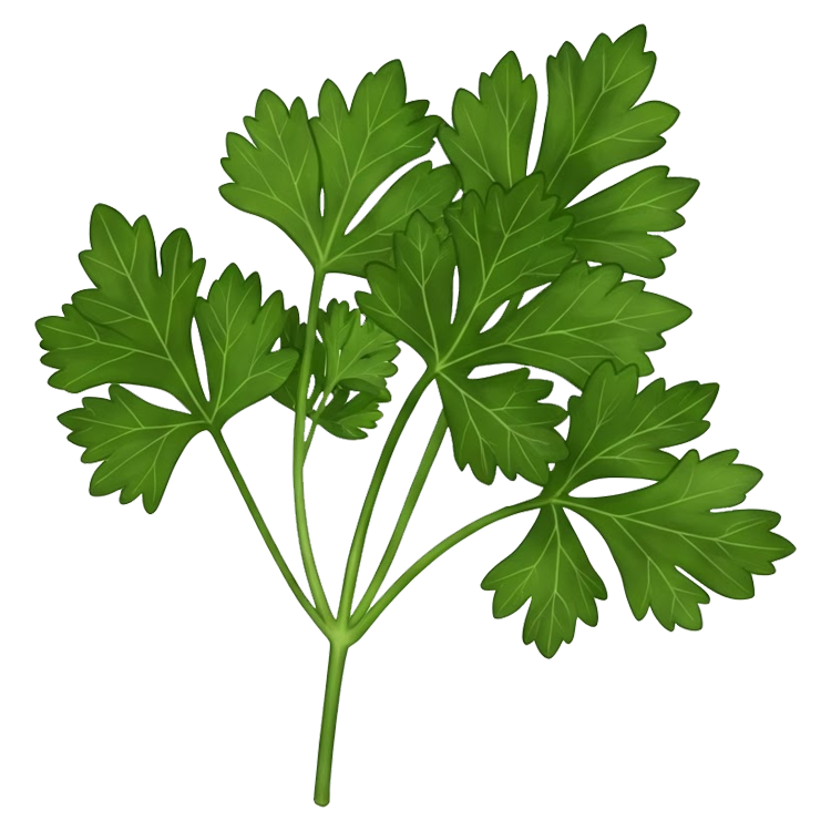 parsley แปลว่า ผักชีฝรั่ง