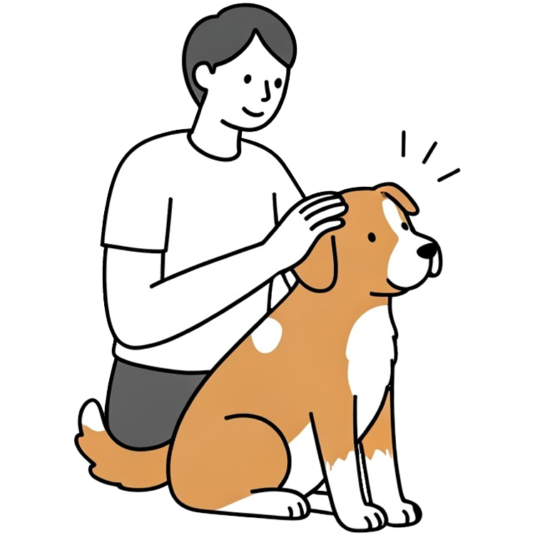 pat แปลว่า ตบเบาๆ