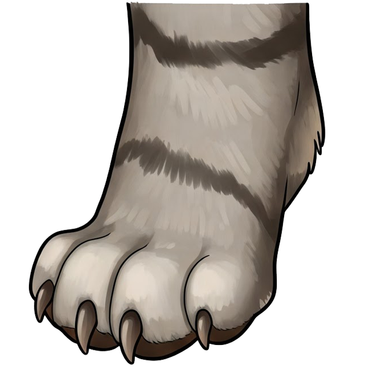 paw แปลว่า อุ้งเท้า