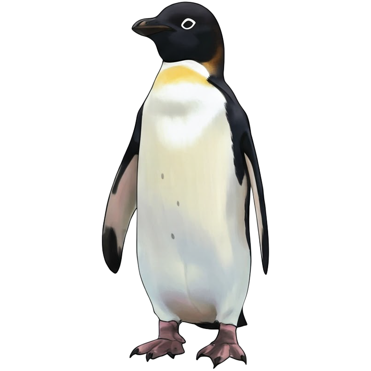 penguin แปลว่า นกเพนกวิน