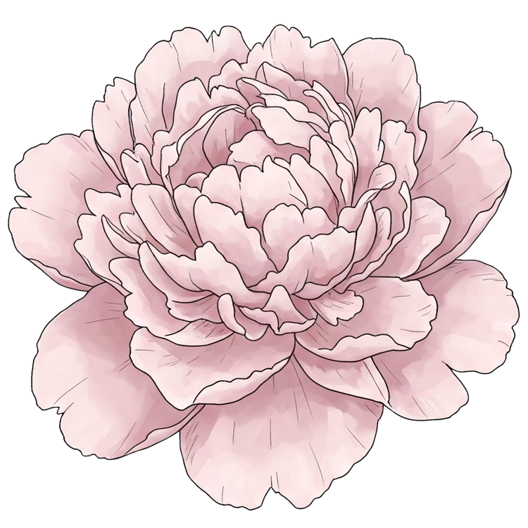 peony แปลว่า ดอกโบตั๋น