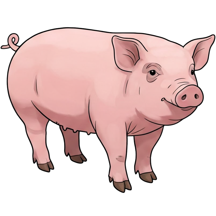 piggy แปลว่า ลูกหมู