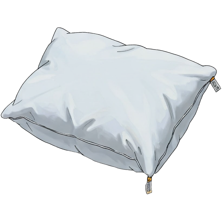 pillow แปลว่า หมอน