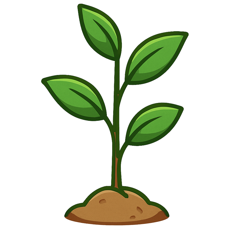 plant แปลว่า พืช