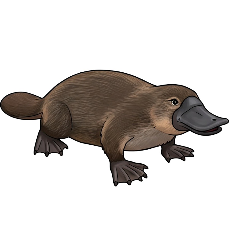 platypus แปลว่า ตุ่นปากเป็ด