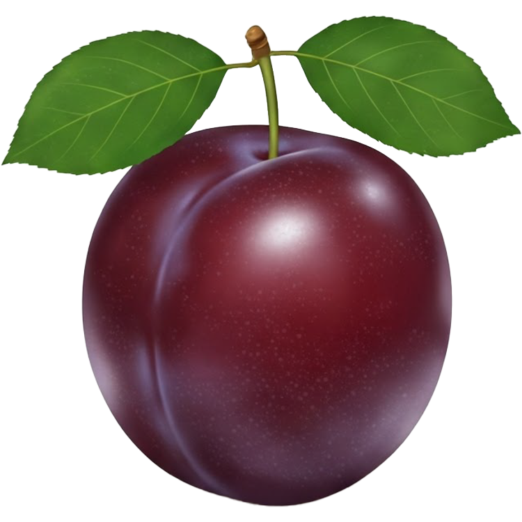 plum แปลว่า ลูกพลัม