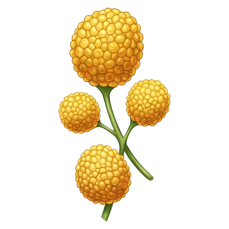 pollen แปลว่า ละอองเกสร