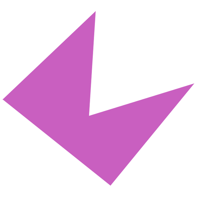 polygon แปลว่า รูปหลายเหลี่ยม