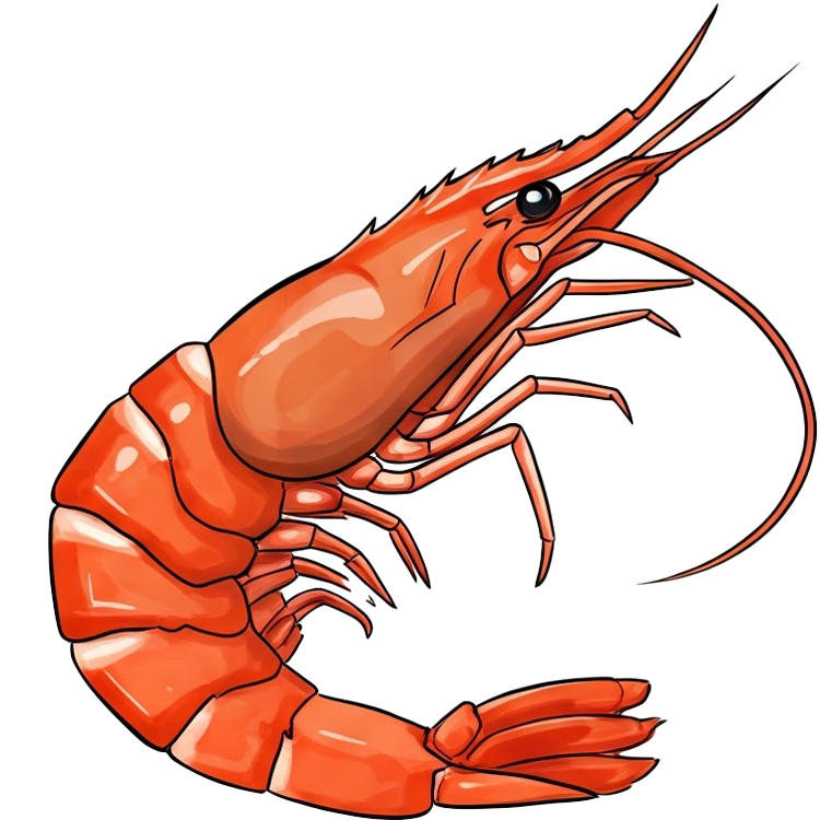 prawn แปลว่า กุ้ง