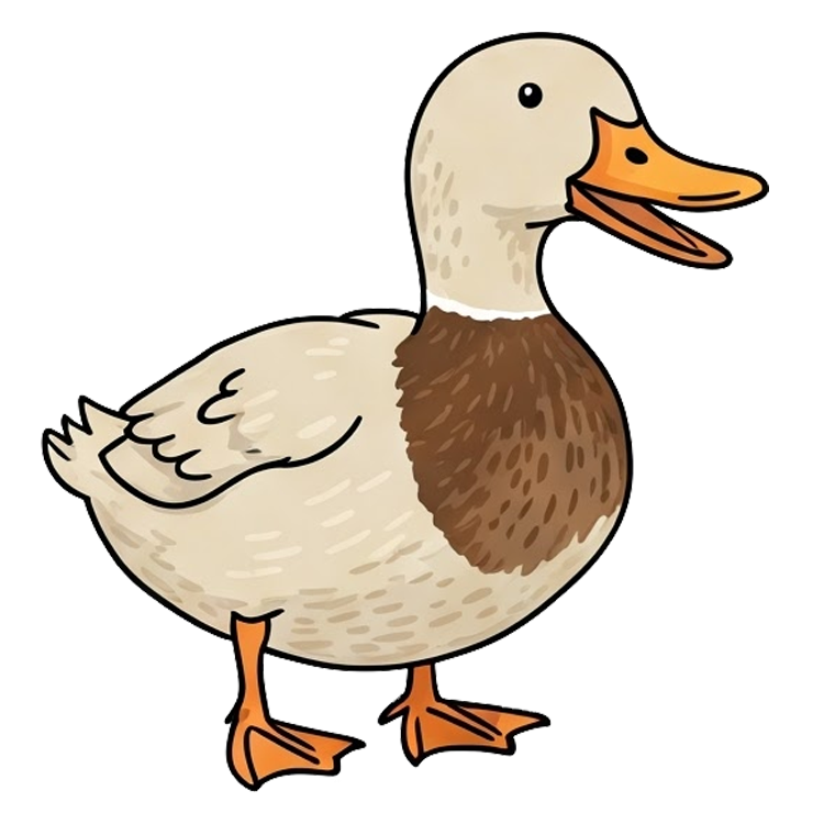 quack แปลว่า ร้องเสียงเป็ด