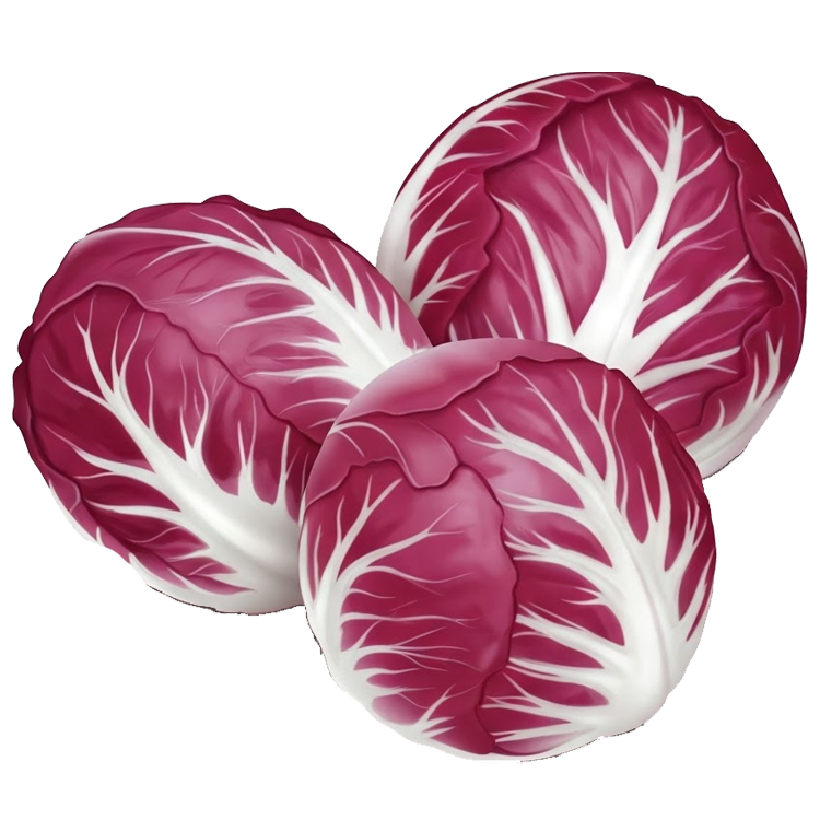 radicchio แปลว่า ผักสลัดชนิดหนึ่งมีใบสีม่วงแดง