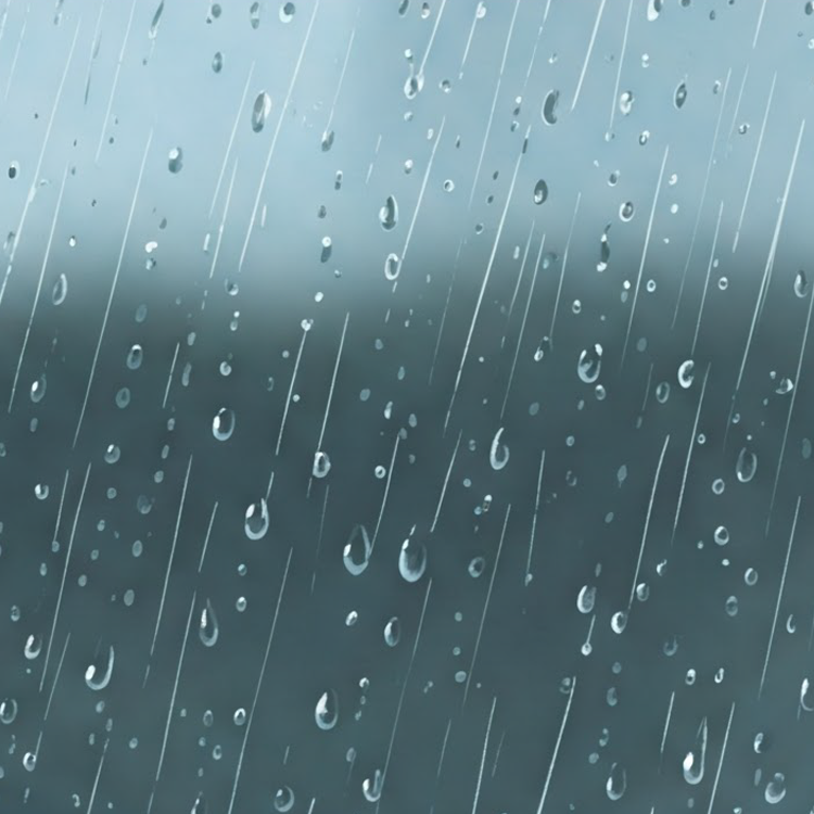 rainy แปลว่า ฝนตก