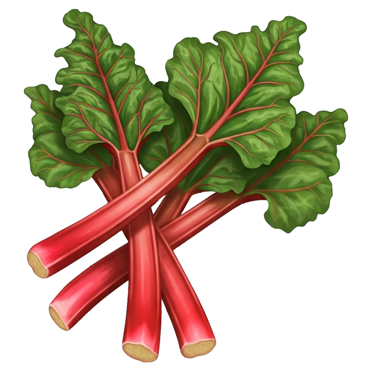 rhubarb แปลว่า พืชจำพวก Rheum ลำต้นอ่อนกินได้ใบมีพิษ