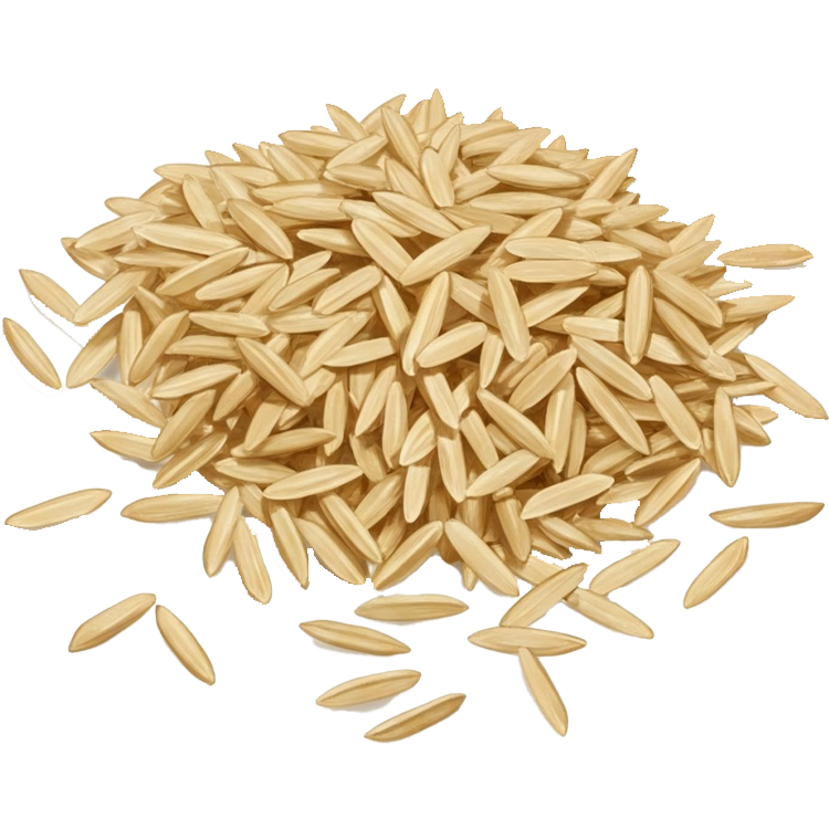 rice แปลว่า ข้าว