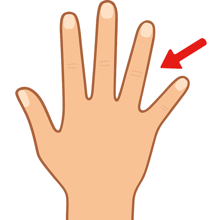 ring finger แปลว่า นิ้วนาง