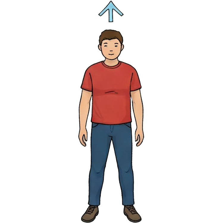 rise แปลว่า ลุกขึ้น