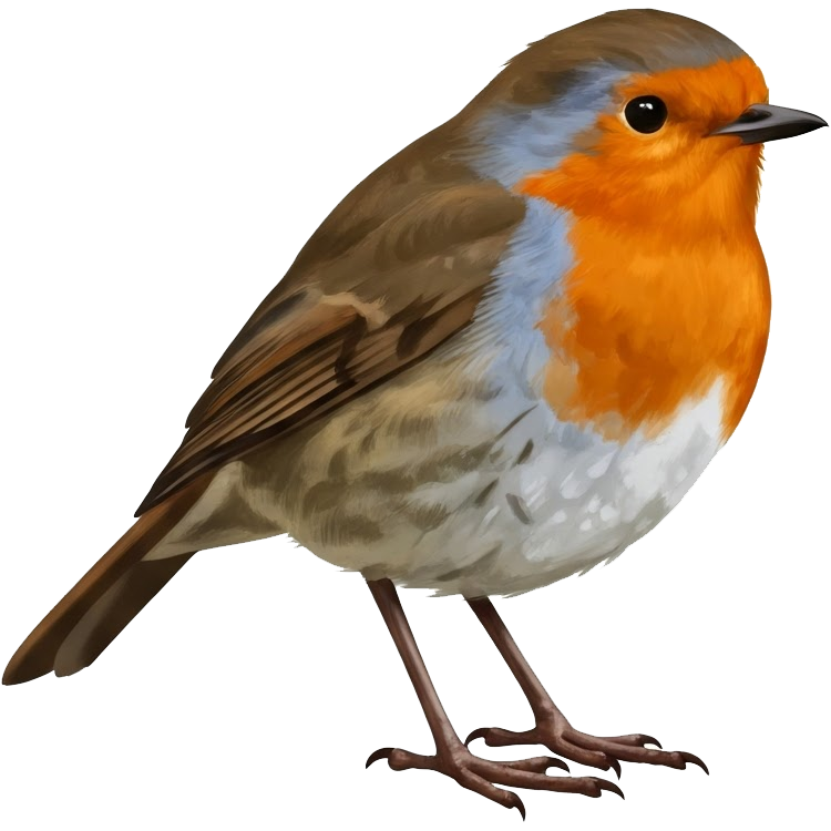 robin แปลว่า นกกางเขน