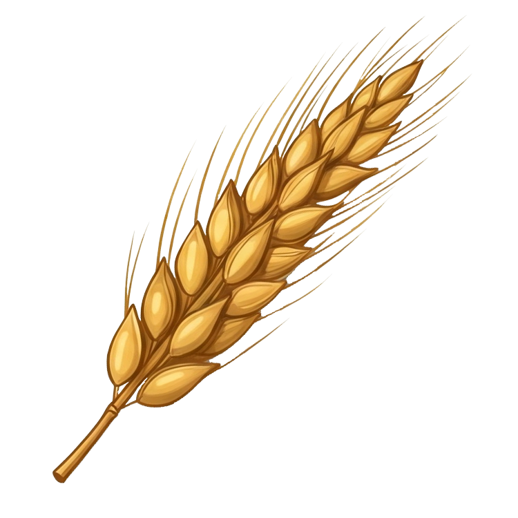 rye แปลว่า เมล็ดข้าวไรย์