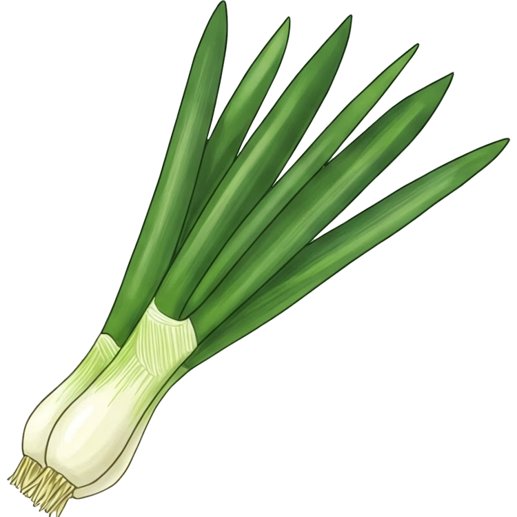scallion แปลว่า หัวหอมเล็ก