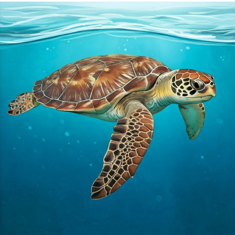 sea turtle แปลว่า เต่าทะเล