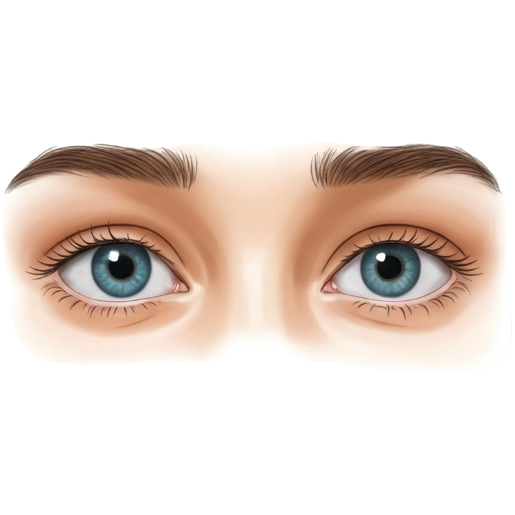 see แปลว่า ดู